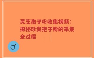 灵芝孢子粉收集视频：探秘珍贵孢子粉的采集全过程