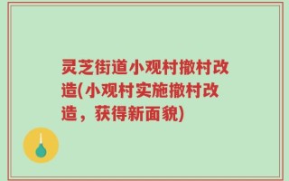 灵芝街道小观村撤村改造(小观村实施撤村改造，获得新面貌)
