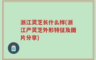 浙江灵芝长什么样(浙江产灵芝外形特征及图片分享)