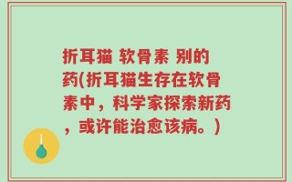折耳猫 软骨素 别的药(折耳猫生存在软骨素中，科学家探索新药，或许能治愈该病。)