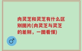肉灵芝和灵芝有什么区别图片(肉灵芝与灵芝的差别，一图看懂)