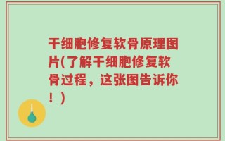 干细胞修复软骨原理图片(了解干细胞修复软骨过程，这张图告诉你！)