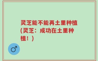 灵芝能不能再土里种植(灵芝：成功在土里种植！)