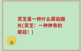 灵芝是一种什么蘑菇图片(灵芝：一种神奇的蘑菇！)