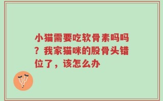 小猫需要吃软骨素吗吗？我家猫咪的股骨头错位了，该怎么办