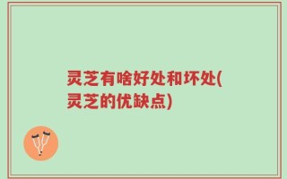 灵芝有啥好处和坏处(灵芝的优缺点)