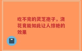 吃不完的灵芝孢子，浇花竟能如此让人惊艳的效果