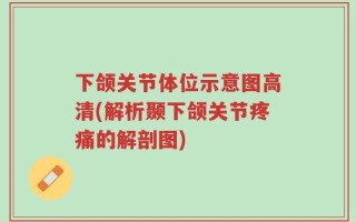 下颌关节体位示意图高清(解析颞下颌关节疼痛的解剖图)