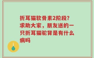 折耳猫软骨素2阶段？求助大家，朋友送的一只折耳猫驼背是有什么病吗
