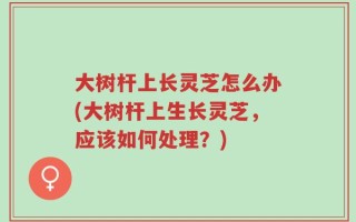 大树杆上长灵芝怎么办(大树杆上生长灵芝，应该如何处理？)