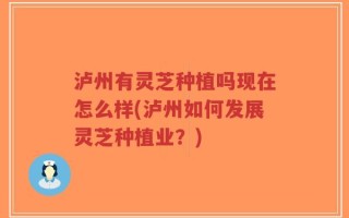 泸州有灵芝种植吗现在怎么样(泸州如何发展灵芝种植业？)