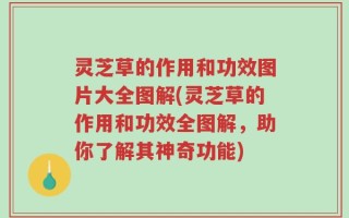 灵芝草的作用和功效图片大全图解(灵芝草的作用和功效全图解，助你了解其神奇功能)