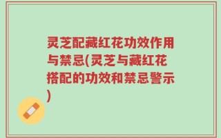 灵芝配藏红花功效作用与禁忌(灵芝与藏红花搭配的功效和禁忌警示)