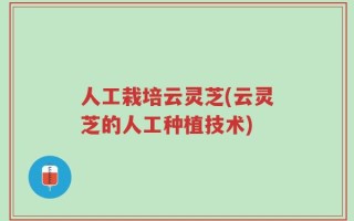 人工栽培云灵芝(云灵芝的人工种植技术)