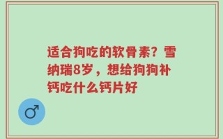 适合狗吃的软骨素？雪纳瑞8岁，想给狗狗补钙吃什么钙片好