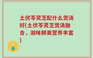 土伏苓灵芝配什么煲汤好(土伏苓灵芝煲汤融合，滋味鲜美营养丰富)
