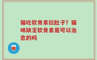 猫吃软骨素拉肚子？猫咪缺乏软骨素是可以治愈的吗