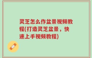 灵芝怎么作盆景视频教程(打造灵芝盆景，快速上手视频教程)