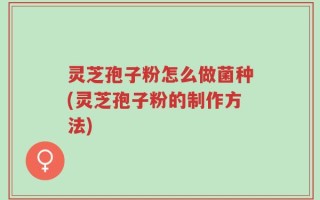 灵芝孢子粉怎么做菌种(灵芝孢子粉的制作方法)