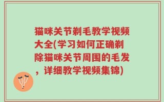 猫咪关节剃毛教学视频大全(学习如何正确剃除猫咪关节周围的毛发，详细教学视频集锦)