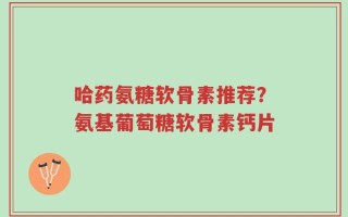 哈药氨糖软骨素推荐？氨基葡萄糖软骨素钙片