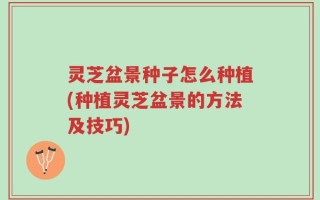 灵芝盆景种子怎么种植(种植灵芝盆景的方法及技巧)