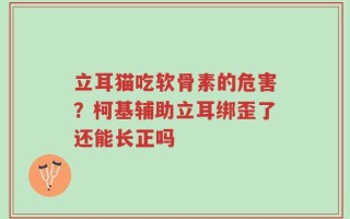 立耳猫吃软骨素的危害？柯基辅助立耳绑歪了还能长正吗
