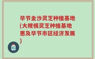 毕节金沙灵芝种植基地(大规模灵芝种植基地惠及毕节市区经济发展)