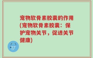 宠物软骨素胶囊的作用(宠物软骨素胶囊：保护宠物关节，促进关节健康)