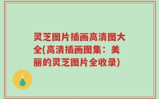 灵芝图片插画高清图大全(高清插画图集：美丽的灵芝图片全收录)