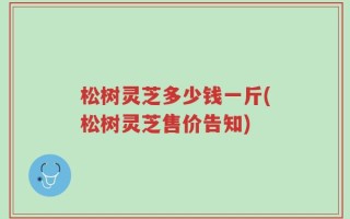松树灵芝多少钱一斤(松树灵芝售价告知)