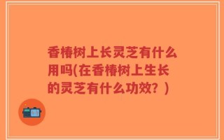 香椿树上长灵芝有什么用吗(在香椿树上生长的灵芝有什么功效？)