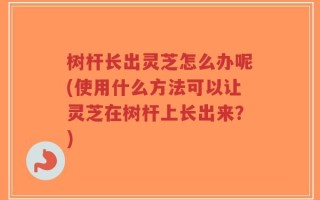 树杆长出灵芝怎么办呢(使用什么方法可以让灵芝在树杆上长出来？)