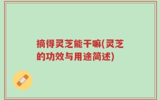 摘得灵芝能干嘛(灵芝的功效与用途简述)