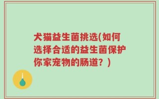 犬猫益生菌挑选(如何选择合适的益生菌保护你家宠物的肠道？)