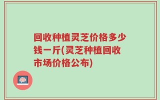 回收种植灵芝价格多少钱一斤(灵芝种植回收市场价格公布)