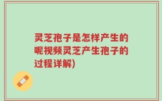 灵芝孢子是怎样产生的呢视频灵芝产生孢子的过程详解)