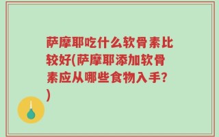 萨摩耶吃什么软骨素比较好(萨摩耶添加软骨素应从哪些食物入手？)