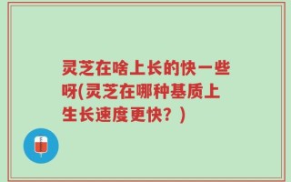 灵芝在啥上长的快一些呀(灵芝在哪种基质上生长速度更快？)