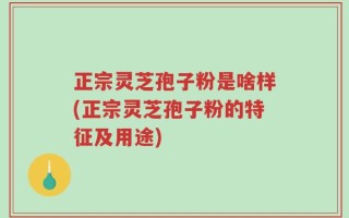 正宗灵芝孢子粉是啥样(正宗灵芝孢子粉的特征及用途)