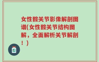 女性髋关节影像解剖图谱(女性髋关节结构图解，全面解析关节解剖！)