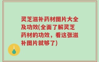 灵芝滋补药材图片大全及功效(全面了解灵芝药材的功效，看这张滋补图片就够了)