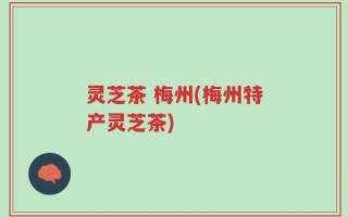 灵芝茶 梅州(梅州特产灵芝茶)