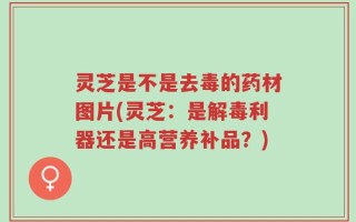 灵芝是不是去毒的药材图片(灵芝：是解毒利器还是高营养补品？)