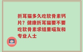 折耳猫多久吃软骨素钙片？健康折耳猫要不要吃软骨素求组里喵友和专业人士