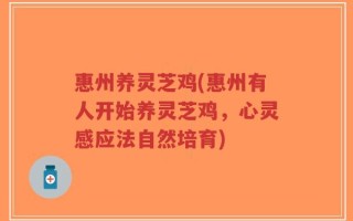 惠州养灵芝鸡(惠州有人开始养灵芝鸡，心灵感应法自然培育)