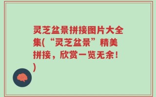 灵芝盆景拼接图片大全集(“灵芝盆景”精美拼接，欣赏一览无余！)