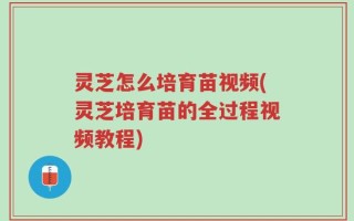 灵芝怎么培育苗视频(灵芝培育苗的全过程视频教程)