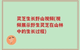 灵芝生长野山视频(视频展示野生灵芝在山林中的生长过程)