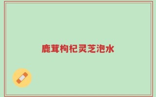 鹿茸枸杞灵芝泡水
